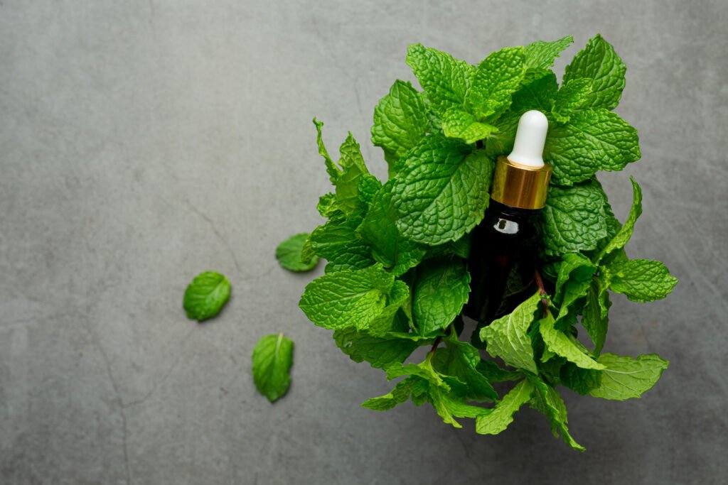 Peppermint oil bottle and fresh peppermint leaves for refreshing acne treatment