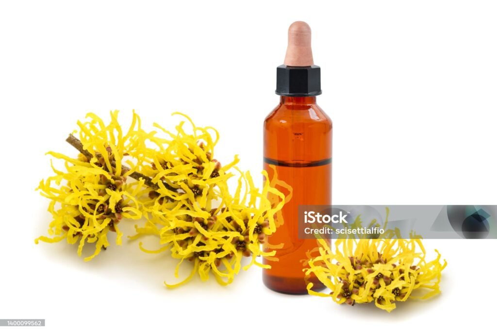 Witch hazel extract for herbal acne treatments and pore-tightening pimple solutions