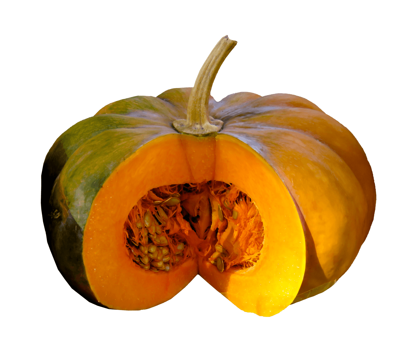 Fresh pumpkin, the source of nutritious pumpkin seeds.