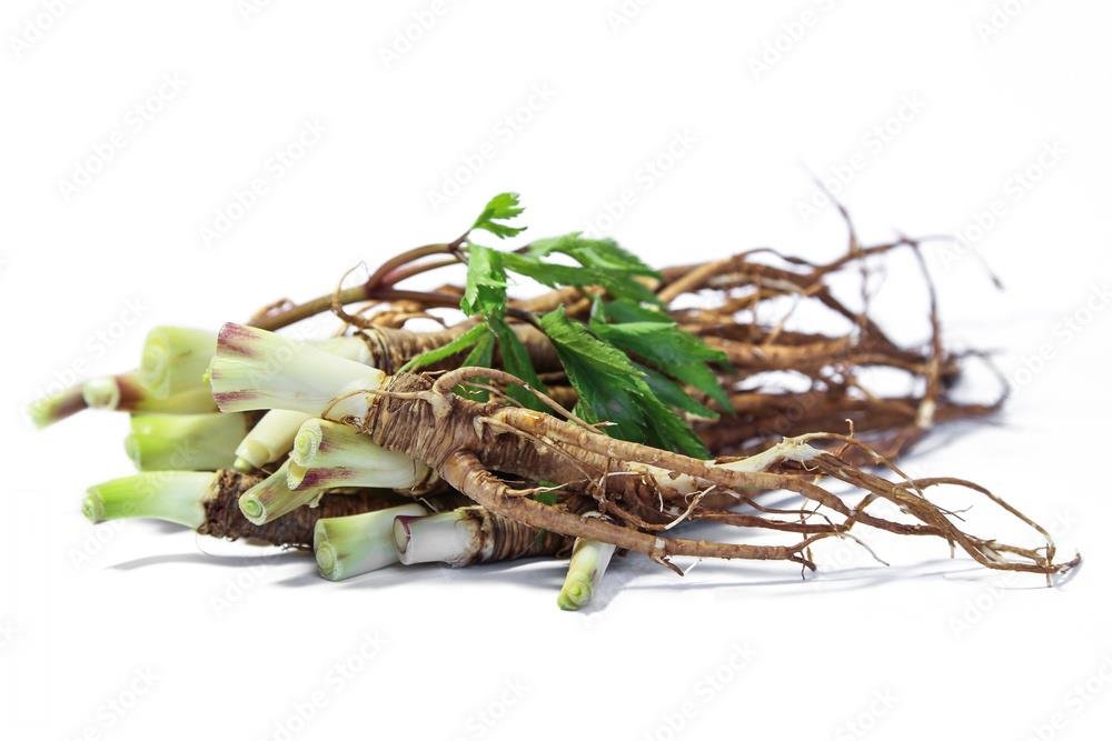 Ginseng root: Health benefits include energy enhancement and support for sexual wellness.