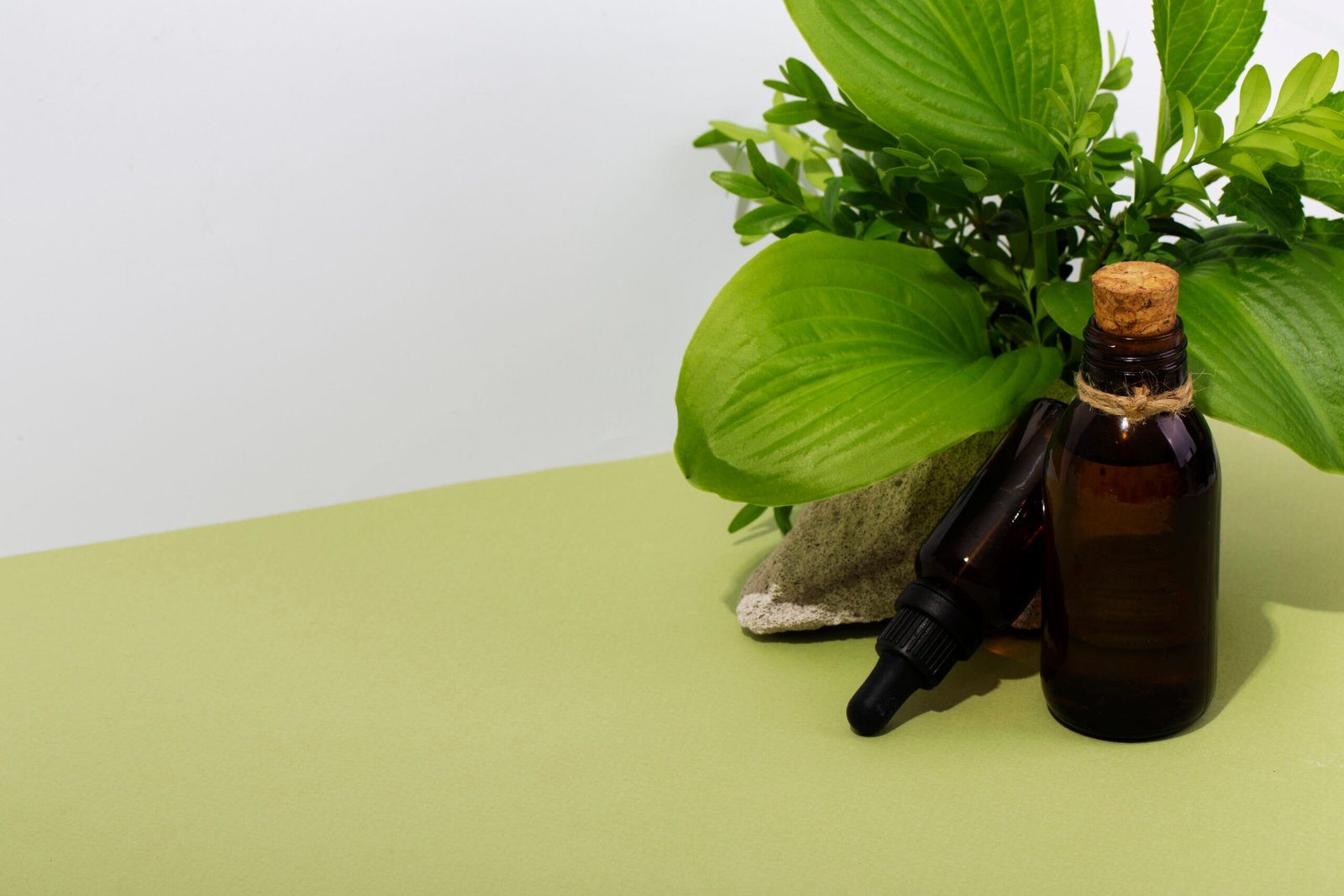 Ravintsara essential oil bottle with a dropper, showcasing its clear liquid. This essential oil is celebrated for its numerous health benefits.