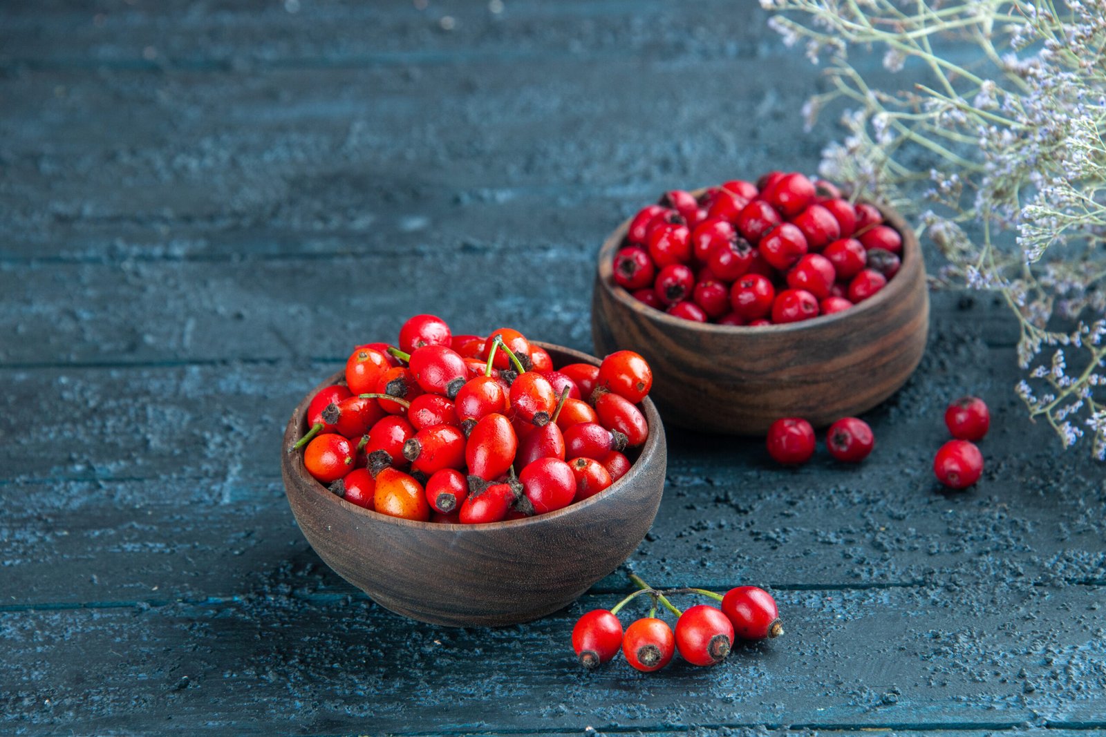 A close-up of red chokeberry berries on a bush in the fall.